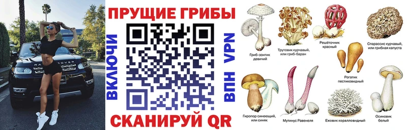 наркота  мега ТОР  Галлюциногенные грибы мицелий  Ялуторовск 